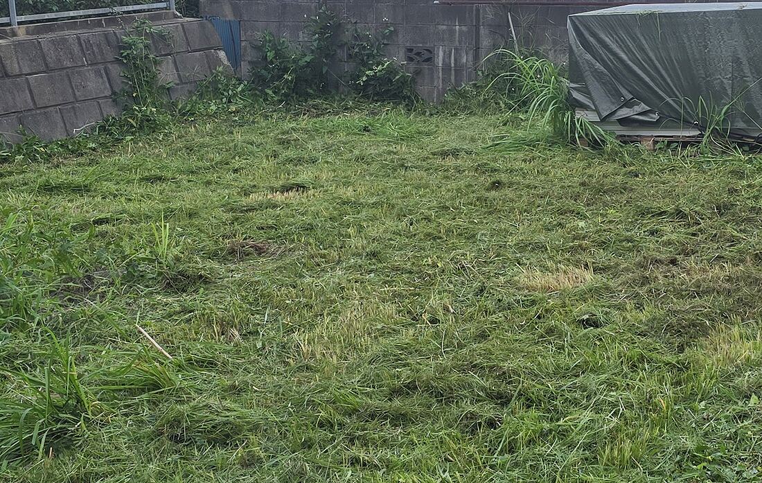 草刈り作業後の敷地