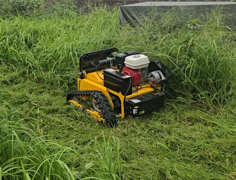 腰高を超える草に入っていくラジコン草刈機