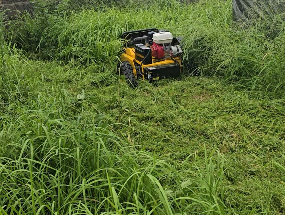 草を刈り進むラジコン草刈機